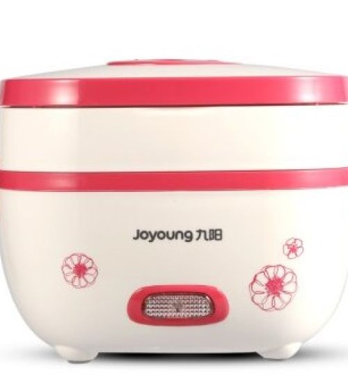 九阳（Joyoung）DFH-8K601多功能电饭盒